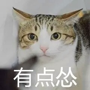 猫猫怂表情包大全无水印版