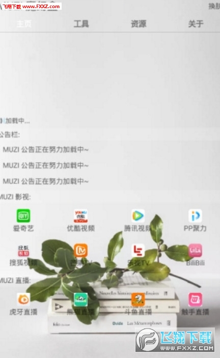 MZ魔幻盒网页版截图3