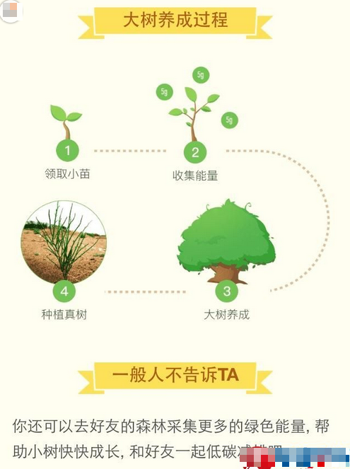 蚂蚁森林互相浇水刷福字工具官方正版截图4