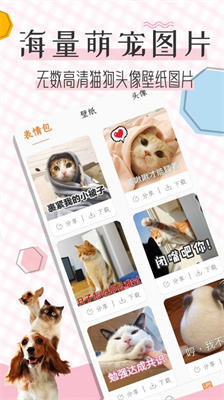 猫语翻译宝完整版截图2