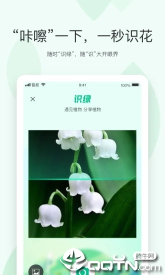 苗叔精简版截图4