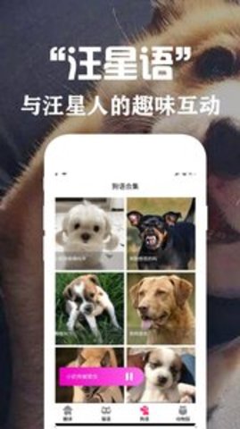 狗语翻译交流器免费版截图3