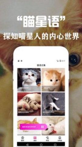 狗语翻译交流器免费版截图4