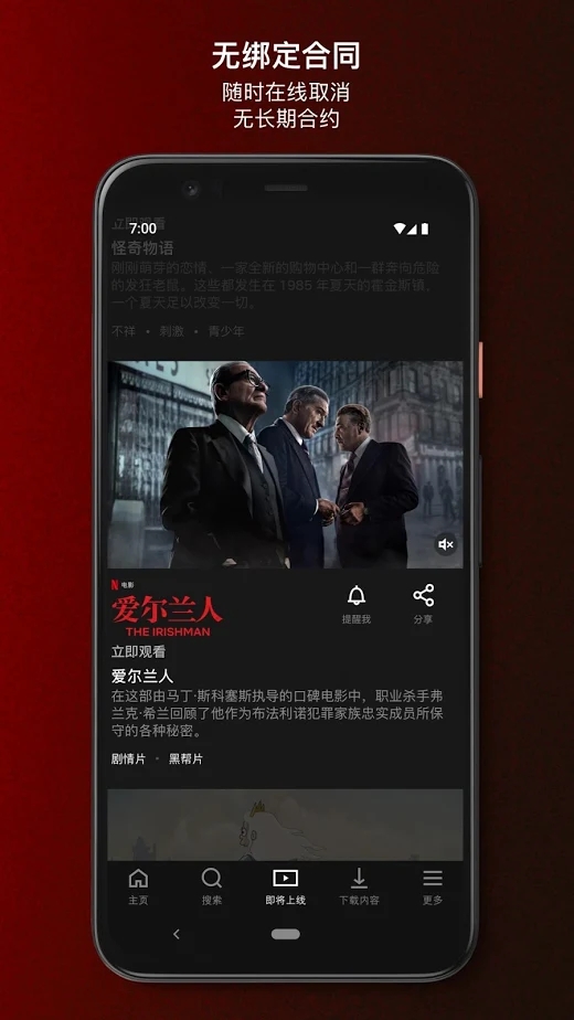 Netflix去广告版截图5