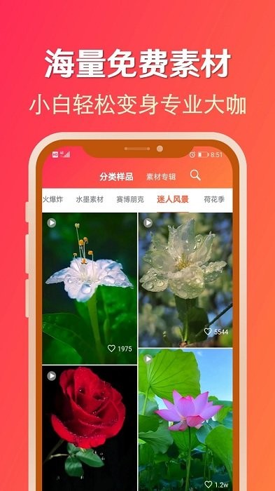 淘素材正式版截图2