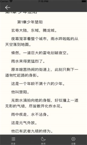 宝书网小说无广告版截图3