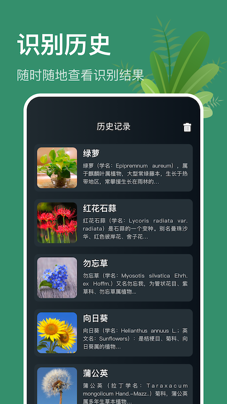 行色识花识植物破解版截图2