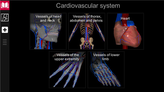 AnatomyLearning