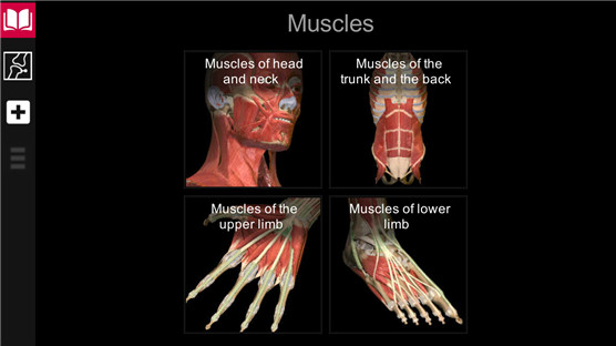 AnatomyLearning