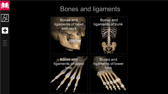 AnatomyLearning