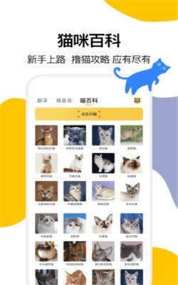 猫语翻译大全汉化版截图2