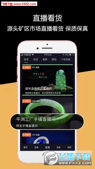 珠宝眼去广告版截图2