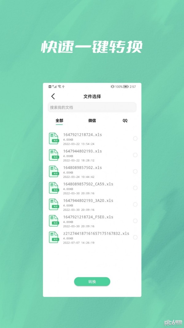 文件转换大师精简版截图8