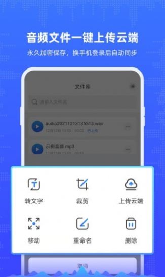 录音机文字转写正式版截图3