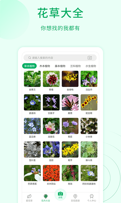 花草识别汉化版截图4