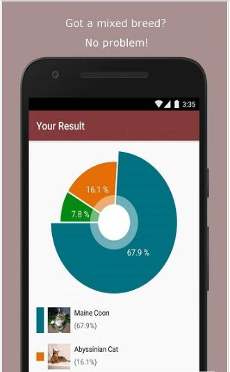 猫咪估价器最新版截图3