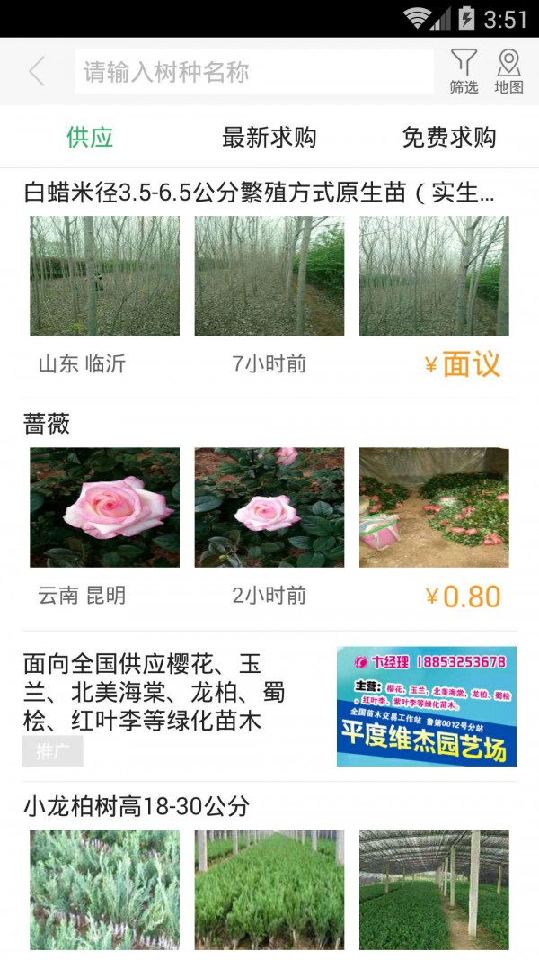 点花木无限制版截图4