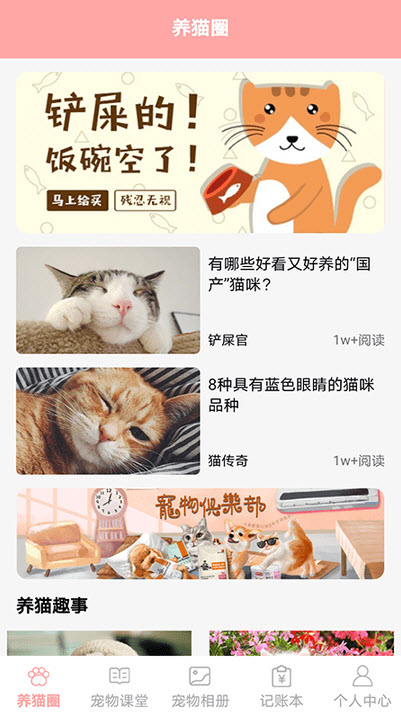 遇见我的猫