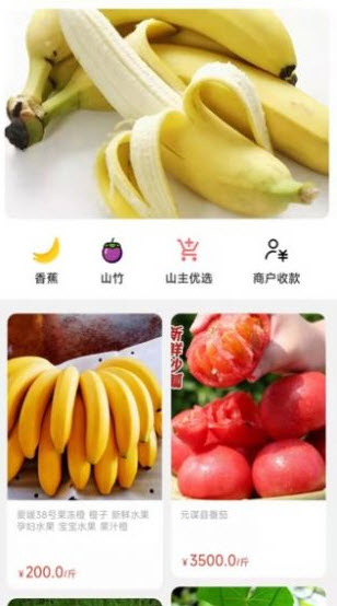 天蕉云果网页版截图3