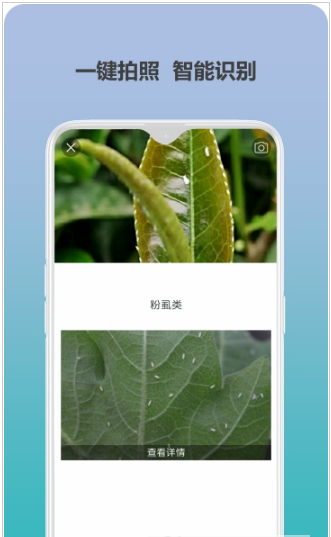 爱植保网页版截图2