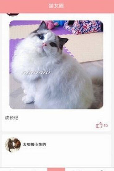 爱猫咪精简版截图2