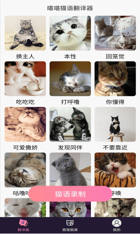 喵喵猫语翻译器去广告版截图2