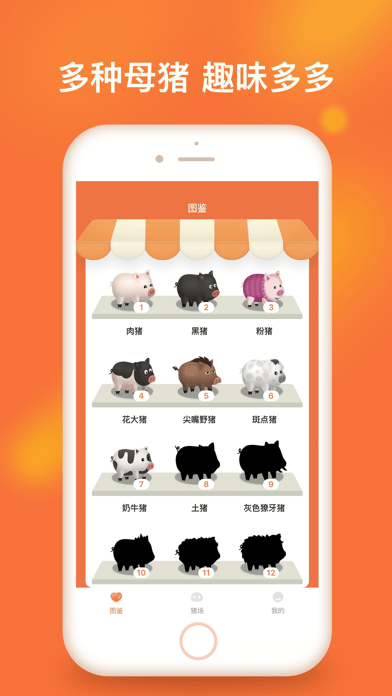 一起来养猪福利正版截图2